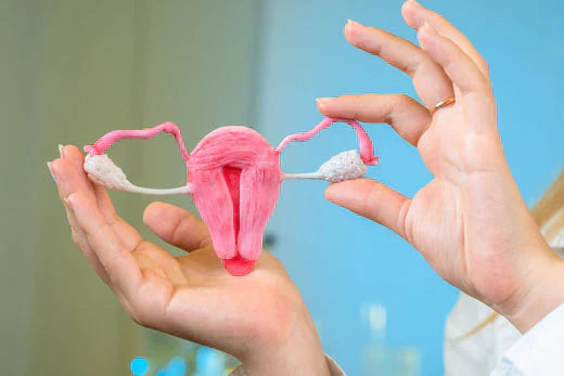 Menstruação intensa, causas e tratamento na perimenopausa