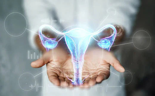 Sistema reprodutivo feminino, você sabe como ele é composto? 