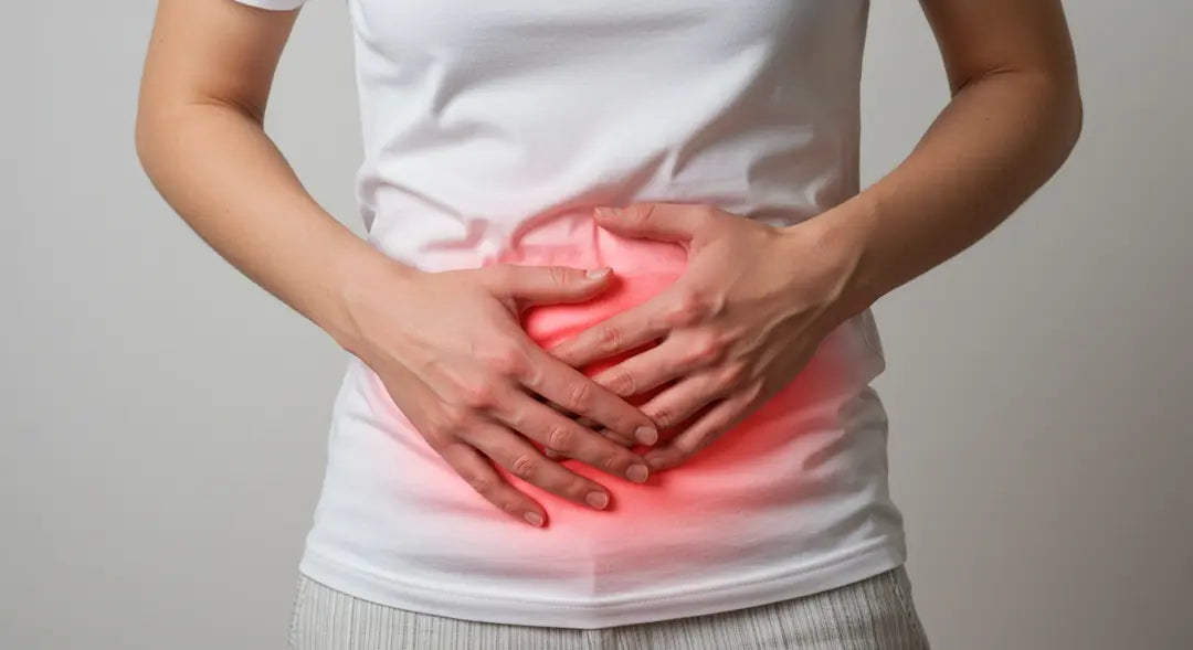 Miomas uterinos: guia para identificá-los e tratá-los corretamente