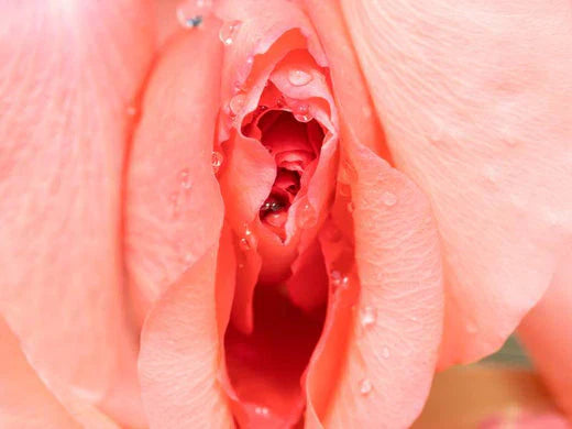 Secura vaginal: 6 dicas para prevenir ou mitigar